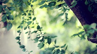 李蕴 / 以美食疗愈心灵的催眠师